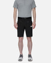 Mammut Aenergy Light Shorts Men