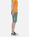 Mammut Aenergy Light Shorts Men