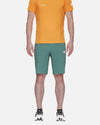 Mammut Aenergy Light Shorts Men