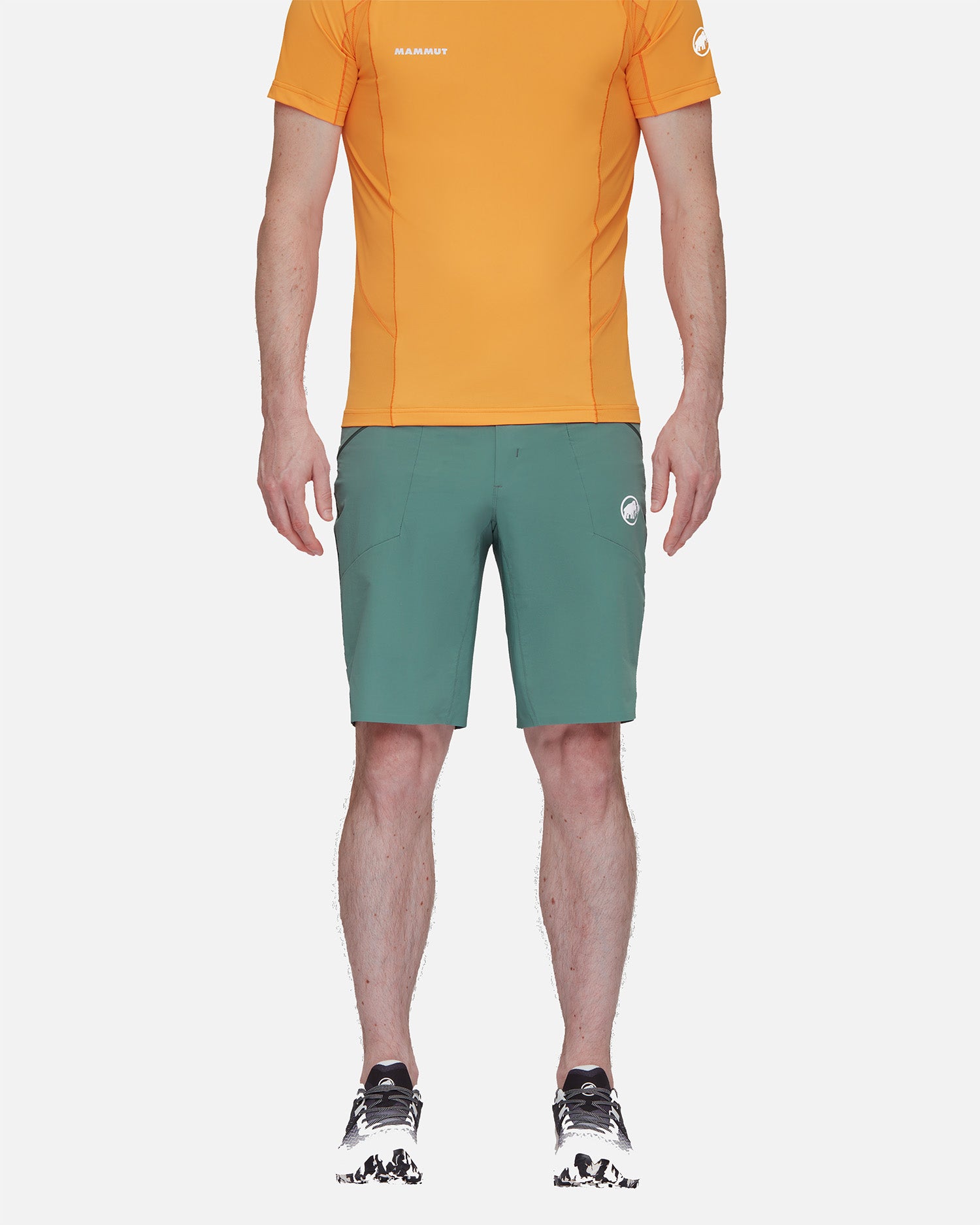 Mammut Aenergy Light Shorts Men