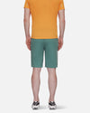 Mammut Aenergy Light Shorts Men