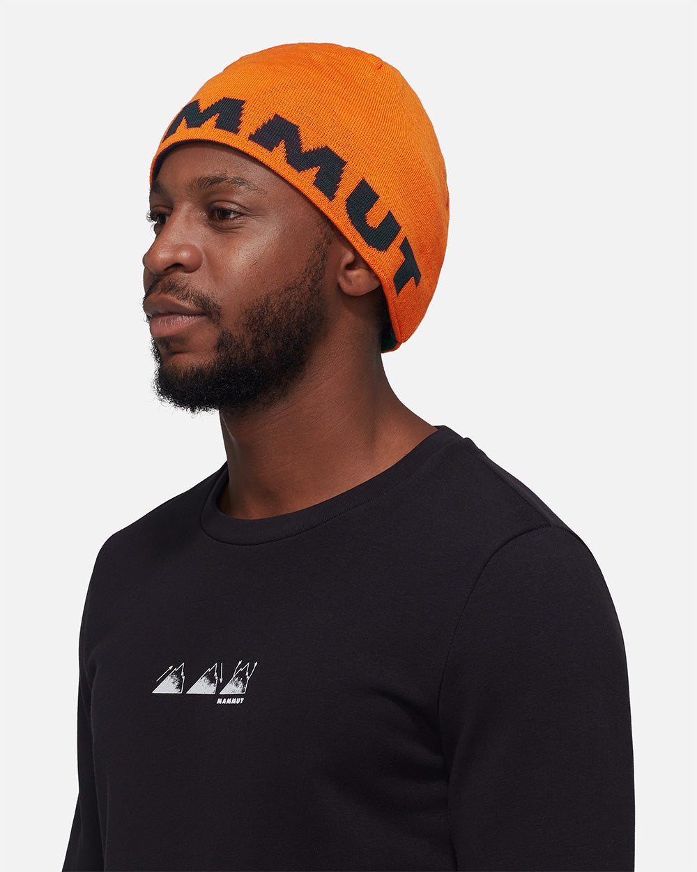 Mammut Logo Beanie