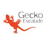 Logo Gecko – RandoShop – Crans-Montana
